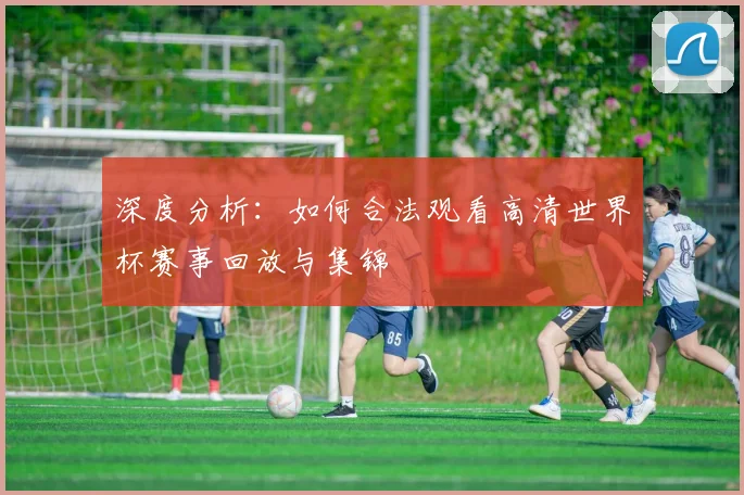 深度分析：如何合法观看高清世界杯赛事回放与集锦