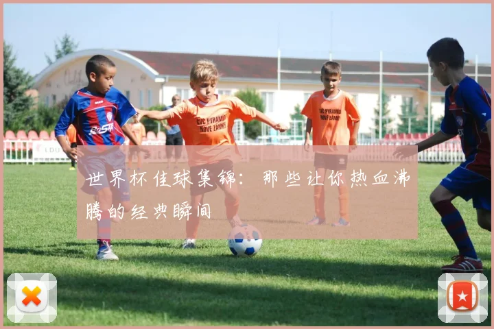 世界杯佳球集锦：那些让你热血沸腾的经典瞬间