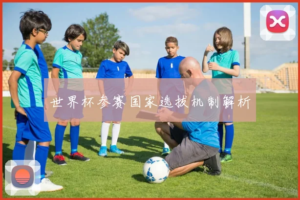 世界杯参赛国家选拔机制解析