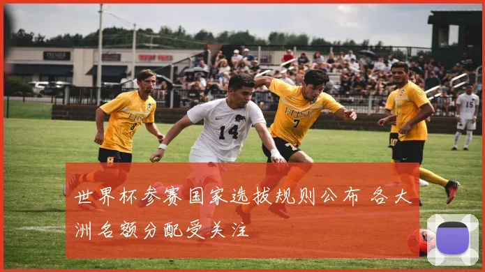 世界杯参赛国家选拔规则公布 各大洲名额分配受关注