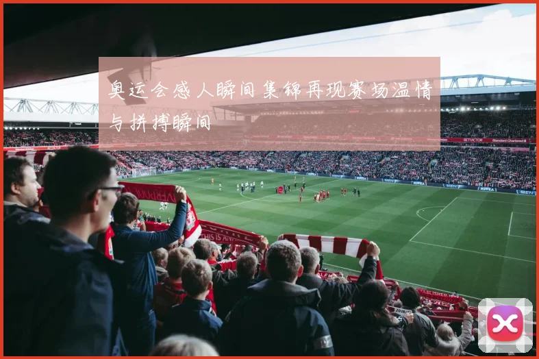 奥运会感人瞬间集锦再现赛场温情与拼搏瞬间