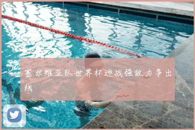 塞尔维亚队世界杯迎战强敌力争出线