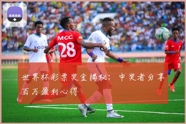 世界杯彩票奖金揭秘：中奖者分享百万盈利心得