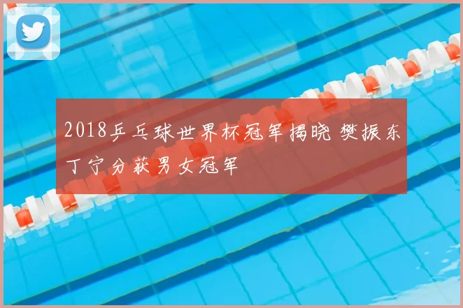 2018乒乓球世界杯冠军揭晓 樊振东丁宁分获男女冠军