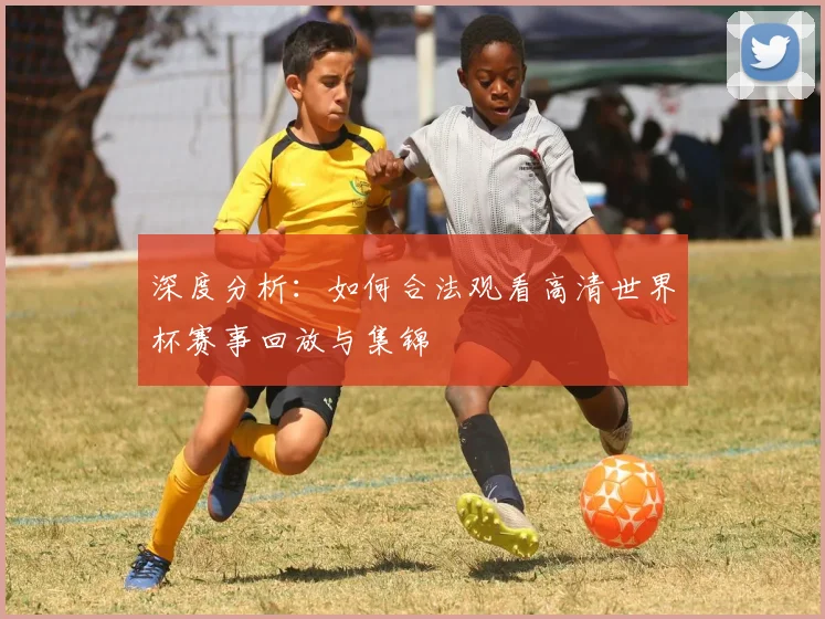 深度分析：如何合法观看高清世界杯赛事回放与集锦