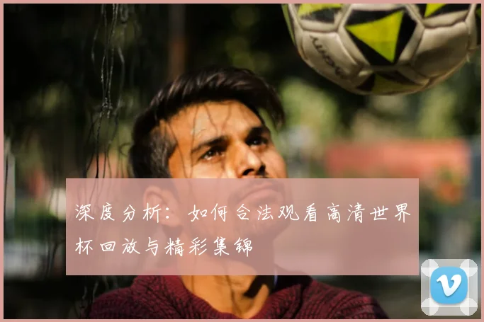 深度分析：如何合法观看高清世界杯回放与精彩集锦