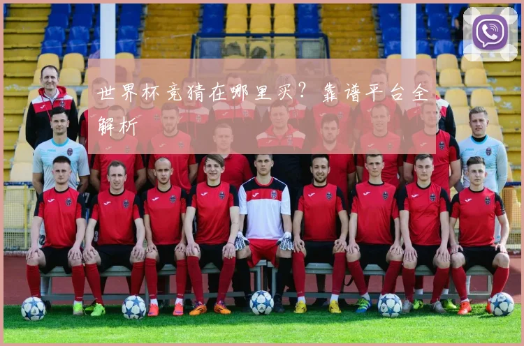世界杯竞猜在哪里买？靠谱平台全解析
