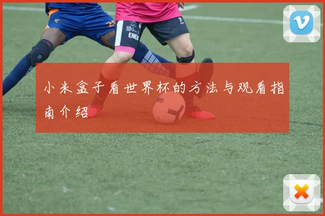 小米盒子看世界杯的方法与观看指南介绍