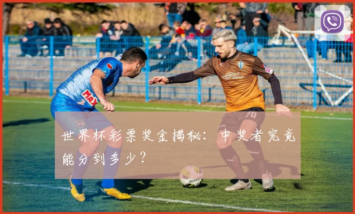 世界杯彩票奖金揭秘：中奖者究竟能分到多少？