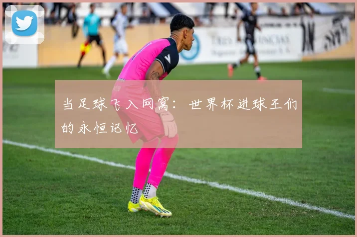 当足球飞入网窝：世界杯进球王们的永恒记忆