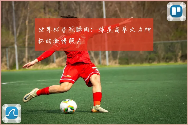 世界杯夺冠瞬间：球星高举大力神杯的激情照片