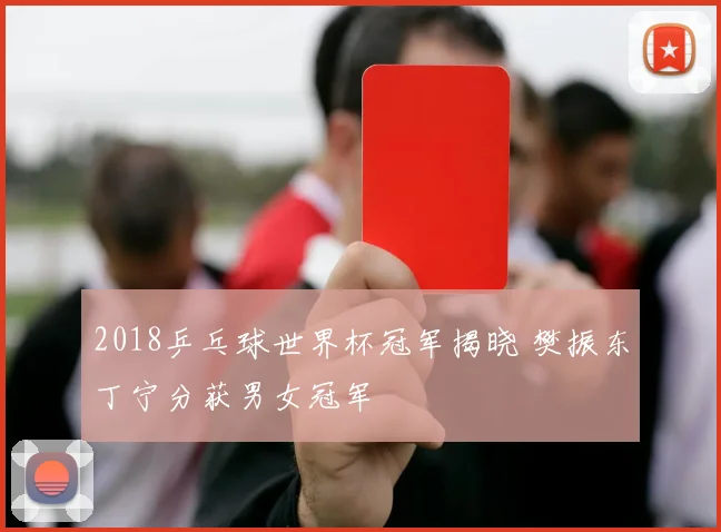 2018乒乓球世界杯冠军揭晓 樊振东丁宁分获男女冠军